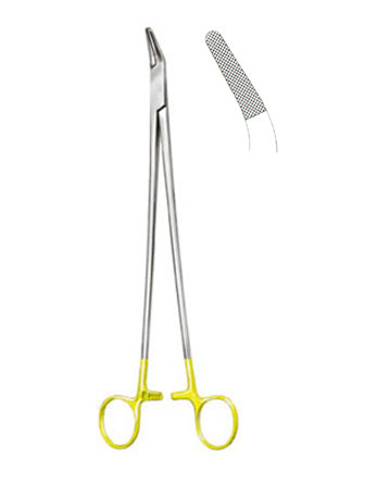 Finocchietto, Normal Prof